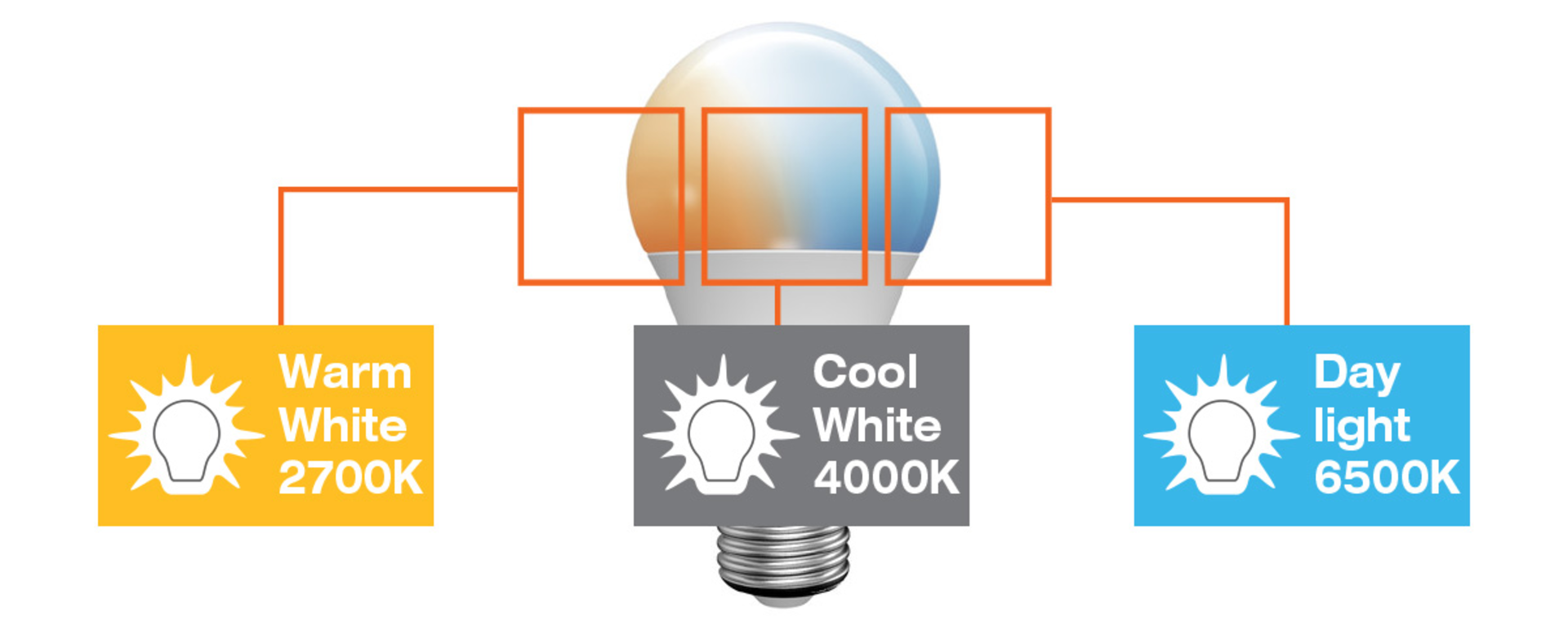 LED Education