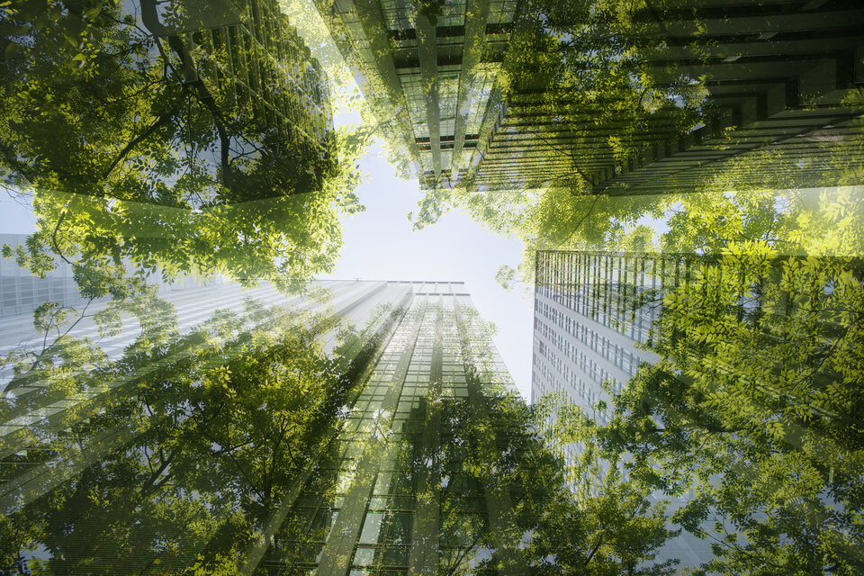 Sustainability