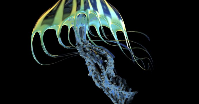 A bioluminescent Jellyfish
